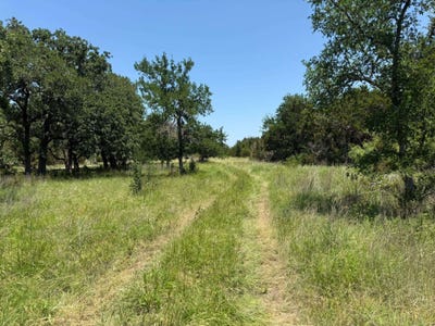 /international/us/tbd-lot-1-indian-lake-road-florence-tx-110101454896/
