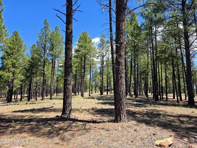 /international/us/4611-e-monroe-street-flagstaff-az-110109005792/