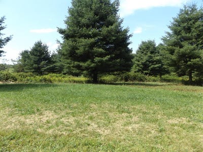 /international/us/sylvatus-hwy-lot-3-hillsville-va-110119920599/