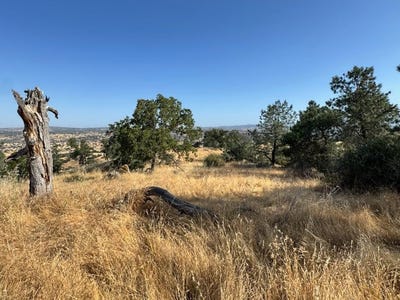 /international/us/0-no-address-friant-ca-110100029511/
