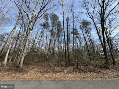 /international/us/park-ave-lot-9a-white-plains-md-110106754221/