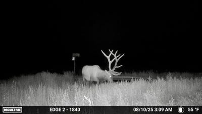 /international/us/84521-cr-40-2-branson-co-110097516427/
