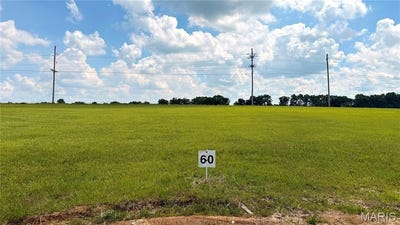 /international/us/0-westborough-estates-lot-60-troy-mo-110089727445/?lang=en