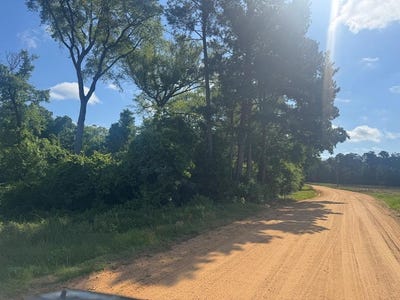 /international/us/moore-meadow-drive-lot-16-georgetown-ga-110108354134/