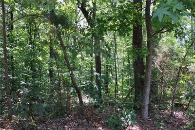/international/us/oak-forest-drive-mccalla-al-110105344933/