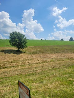 /international/us/0-cherry-grove-road-flemingsburg-ky-110101224091/?lang=zh-cn