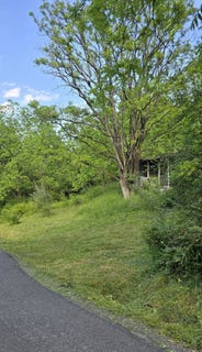 /international/us/2470-yellow-sulphur-road-christiansburg-va-110108386487/