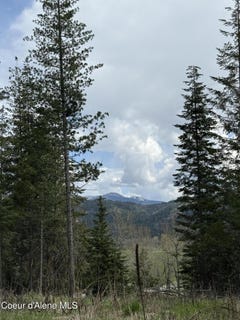 /international/us/nka-st-maries-river-rd-lot-5-st-maries-id-110107732009/