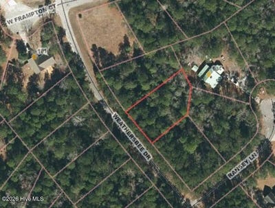 /international/us/270-weathersbee-drive-lot-l270-hampstead-nc-110108219896/