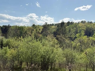 /international/us/duck-cove-formerly-brookside-road-orland-me-110108176045/