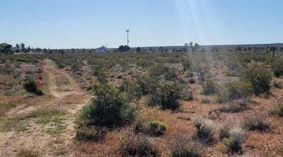 /international/us/pearblossom-hwy-183rd-st-e-palmdale-ca-110085828969/