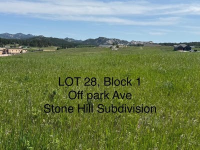 /international/us/lot-28-park-avenue-custer-sd-110100331415/?lang=zh-tw