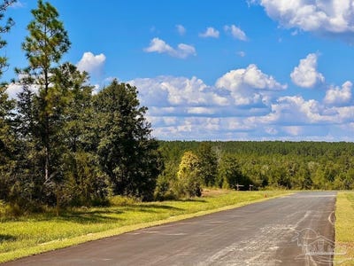 /international/us/morgans-branch-lot-13-molino-fl-110102662229/