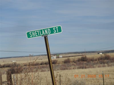 /international/us/shetland-street-moriarty-nm-110106668673/