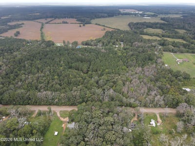 /international/us/ms-35-forest-ms-110107571270/