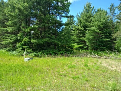 /international/us/lot-1-red-hawk-fife-lake-mi-110100589566/?lang=en