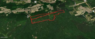 /international/us/0-hornsby-deberry-lane-hornsby-tn-110101504314/