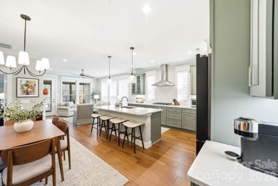 /international/us/538-sweet-birch-park-lane-black-mountain-nc-110106947321/
