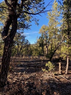 /international/us/los-nidos-lane-pecos-nm-110107277475/
