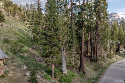 /international/us/123-larkspur-drive-kirkwood-ca-110107257022/