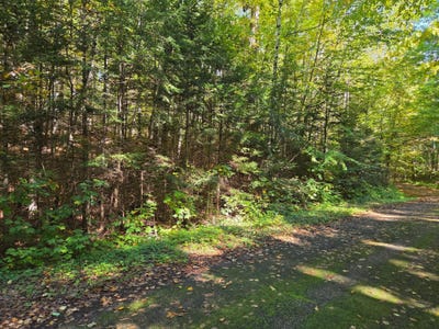 /international/us/on-moonshine-valley-rd-presque-isle-wi-110102615601/