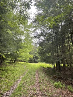 /international/us/39-birch-lane-swan-lake-ny-110099979228/