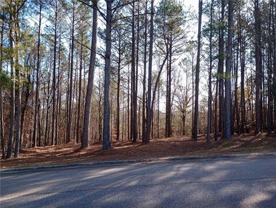 /international/us/tuscan-hills-road-franklin-ga-110108489729/
