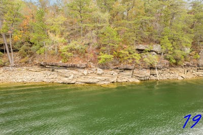 /international/us/lot-19-ryan-s-view-crane-hill-al-110096835177/