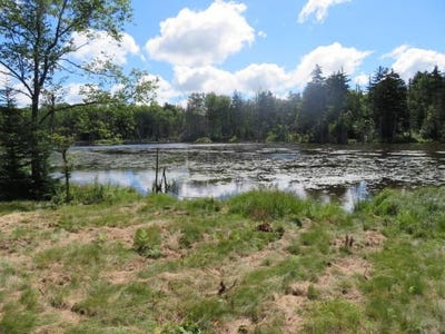 /international/us/0-north-rd-west-turin-ny-110097810669/?lang=pt