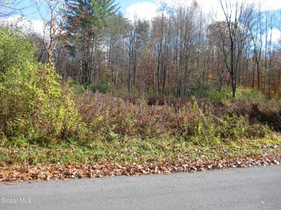/international/us/314-332-fortsville-road-northumberland-ny-110100898050/?lang=zh-cn