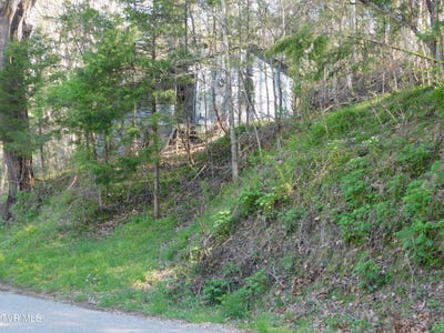 /international/us/4400-big-hill-road-pennington-gap-va-110100207037/