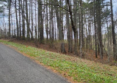 /international/us/manor-house-dr-lot-28-laurel-fork-va-110107630587/
