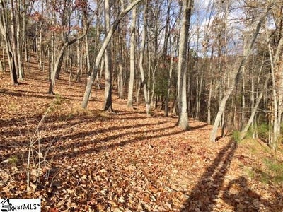 /international/us/450-highridge-parkway-marietta-sc-110089790351/