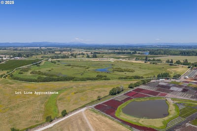 /international/us/duck-club-ct-scappoose-or-110101712975/