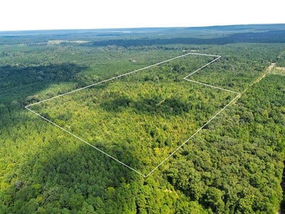 /international/us/2918-la-153-highway-castor-la-110102419262/