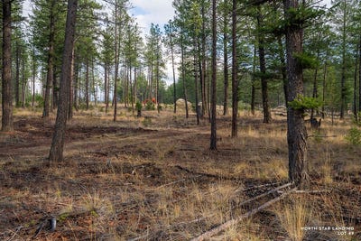 /international/us/basin-bend-lot-49-eureka-mt-110100894567/?lang=zh-cn