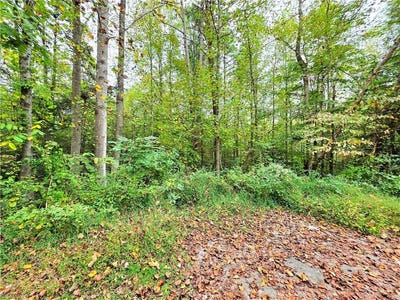 /international/us/holder-street-lot-1-hays-nc-110102769770/