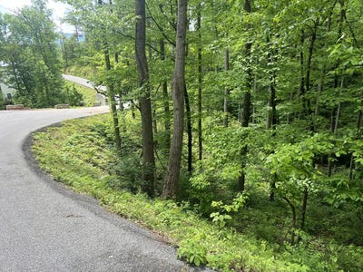 /international/us/old-cartertown-rd-4-49-acres-lot-3-gatlinburg-tn-110100987212/