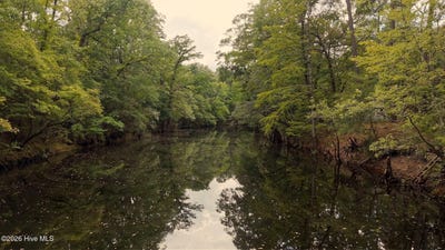 /international/us/33-shelter-creek-drive-lot-33-burgaw-nc-110110240023/