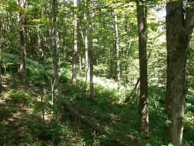 /international/us/478-dunham-road-smyrna-ny-110110276721/