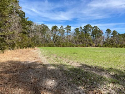 /international/us/6005-old-salkehatchie-rd-early-branch-sc-110101022336/