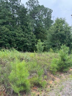 /international/us/10452-n-davis-road-cottondale-al-110105779636/