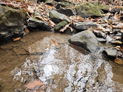 /international/us/0-black-oak-road-rock-wv-110104015457/