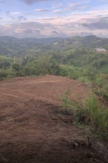 /international/pr/carr-568-bo-palmarito-corozal-corozal-110104433507/