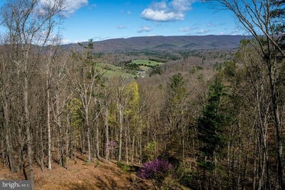 /international/us/9586-brunk-spring-lane-broadway-va-110099067554/