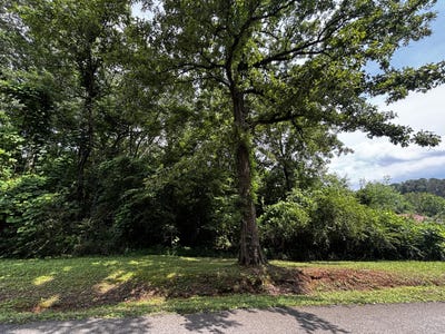 /international/us/kendall-avenue-bridgeport-al-110108451913/