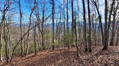 /international/us/briarwood-road-webster-nc-110105525184/