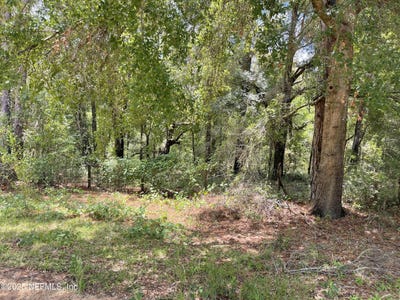 /international/us/154-ashley-lake-drive-melrose-fl-110101235571/?lang=zh-tw