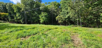 /international/us/629-evergreen-drive-falls-pa-110102172060/