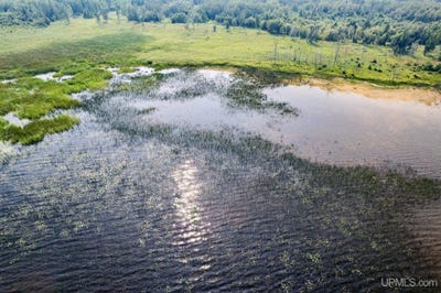 /international/us/tbd-cr503-rapid-river-mi-110095391731/?lang=zh-tw